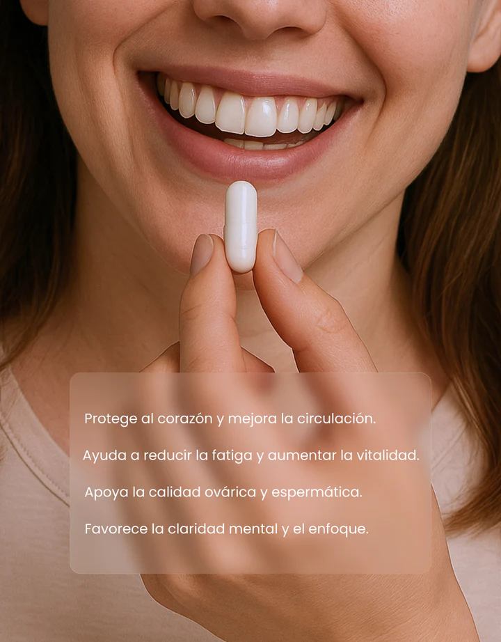 CoQ10 Support Ubiquinol (400 mg) 60 Cápsulas | Alta Absorción - Imagen 5