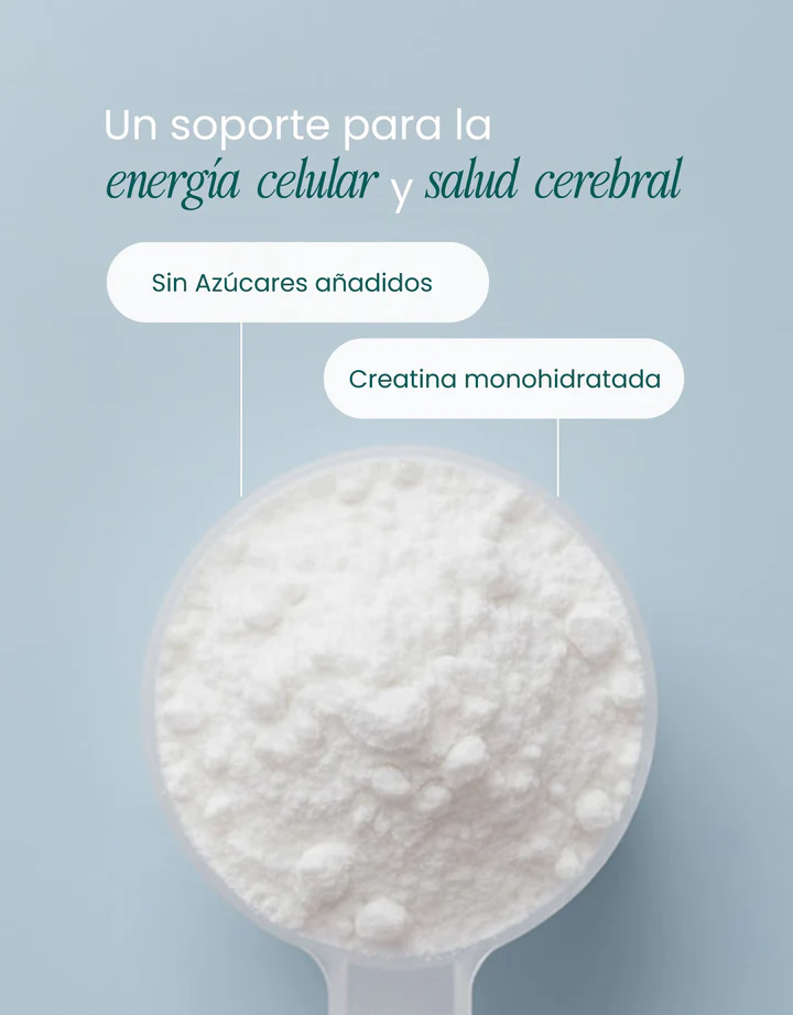 Creatina Monohidratada - Imagen 3