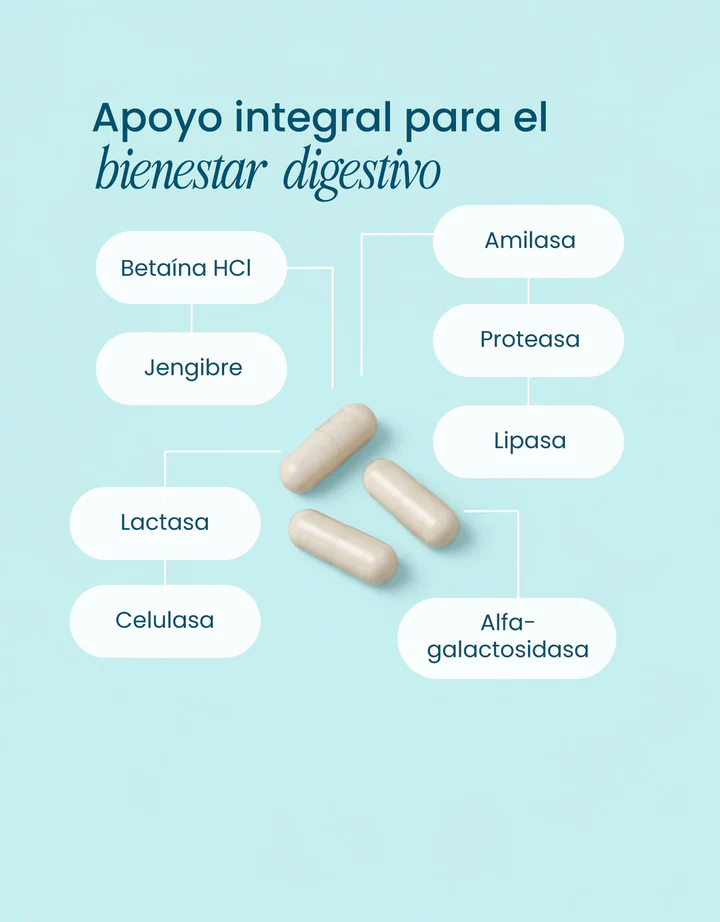 Enzymas digestivas: Digestión ligera y absorción óptima - Imagen 3